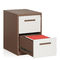 Металла картотеки ящика офисной мебели H731mm 2 дизайн бокового современный